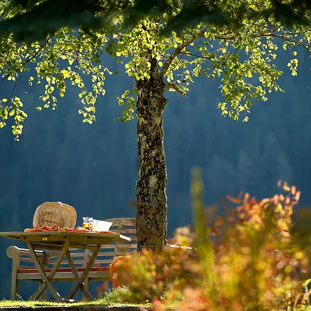 St. Oswald 4* Bad Kleinkirchheim